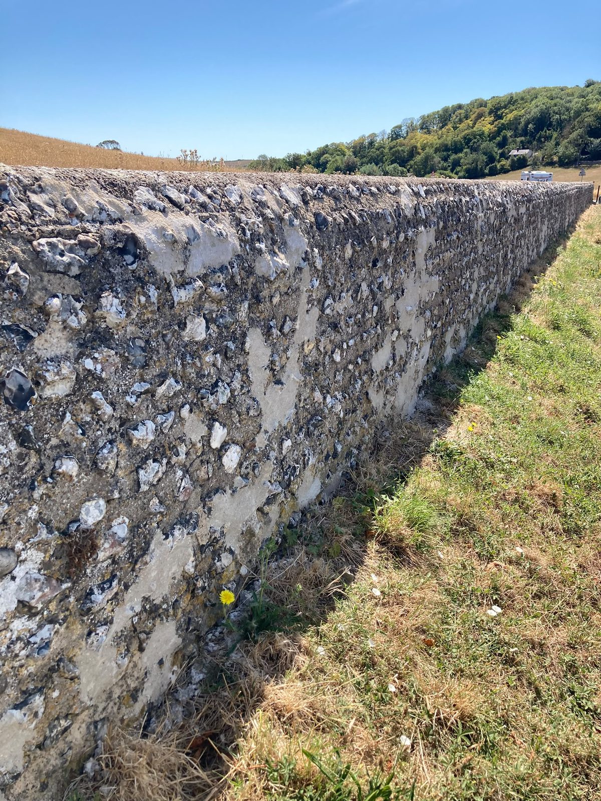A long flint wall running across dry grassland towards wooded downland